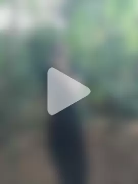 Bong_Hoa photo 3
