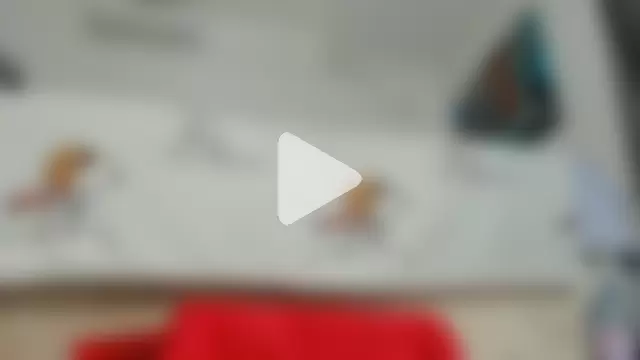 Bornforporn_ photo 18