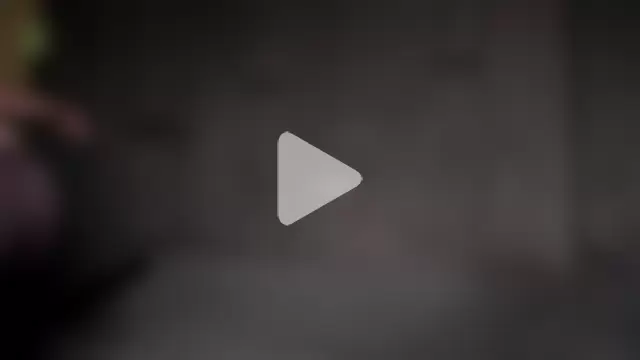 BrandonNorris photo 16