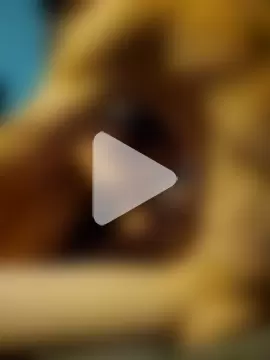 BreakBread974 photo 10