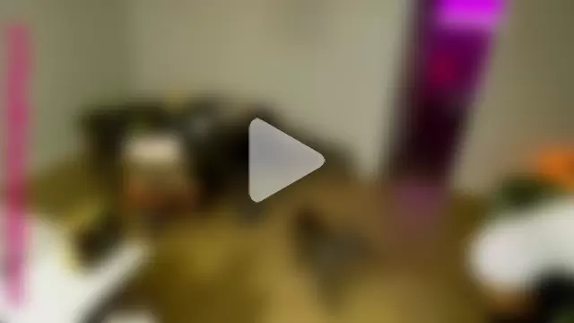 BriannaBrave photo 2