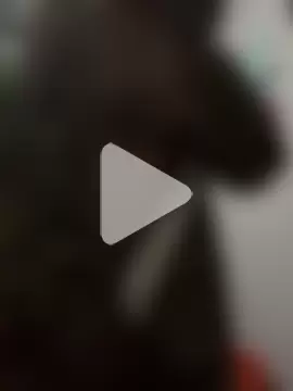 BringBackLostLover photo 12