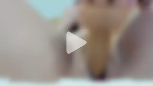 BritttanyBrix photo 7