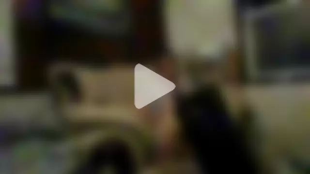 Brooke-lynn photo 17