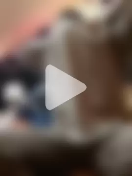 Brucejuce6669 photo 4