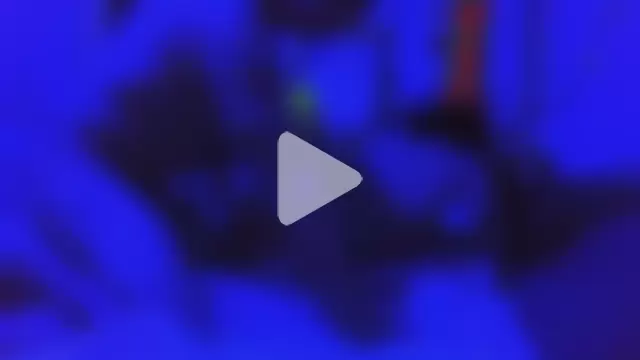 Buffshagswell photo 25