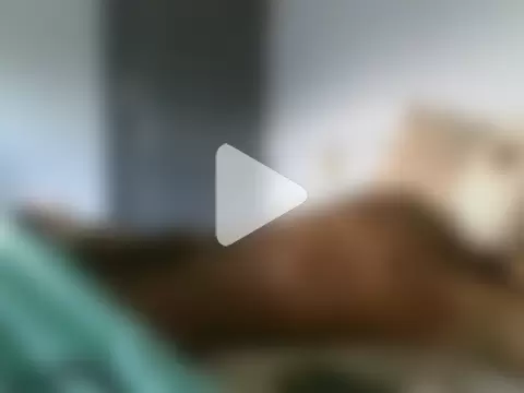 BumbleBee84 photo 14