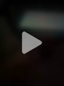 BumbleBee84 photo 14