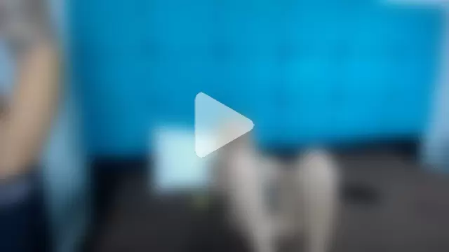 Bunny_Petit photo 24