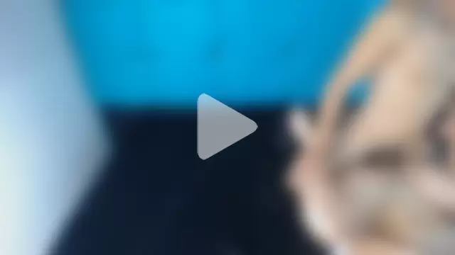 Bunny_Petit photo 21