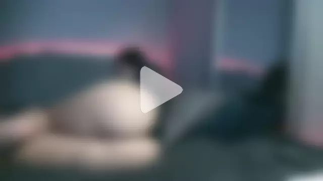 Bunnyela1 photo 3