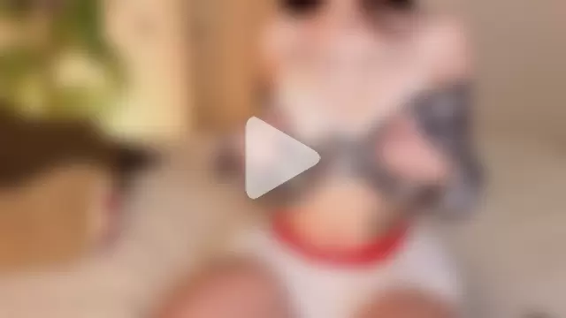 ButterflyElina photo 10