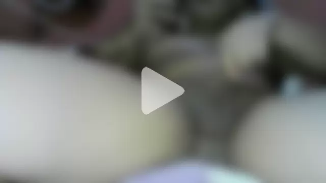 Cachinhospreto photo 15