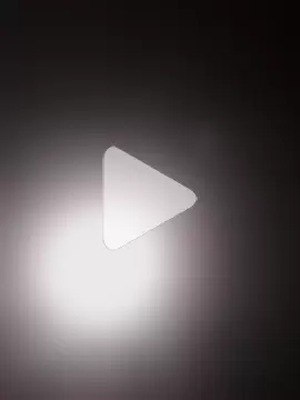 Cachorrinha2025 photo 26