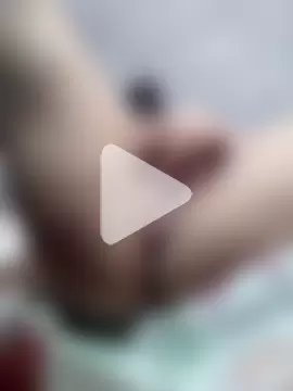 Cachorrinha2025 photo 25