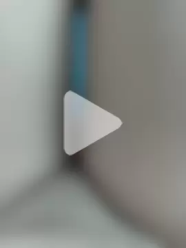 Cachorrinha2025 photo 19