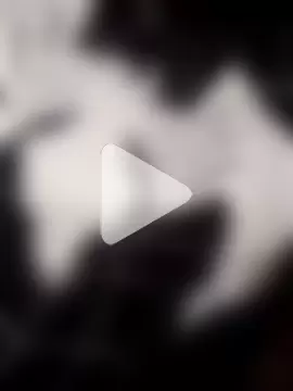 Cachorrinha2025 photo 15