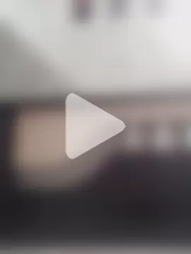 Cachorrinha2025 photo 14