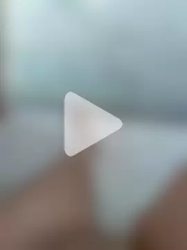 Cachorrinha2025 photo 12