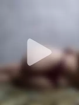 Cachorrinha2025 photo 7