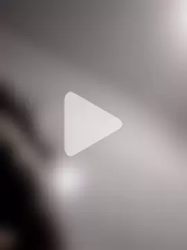 Cachorrinha2025 photo 5