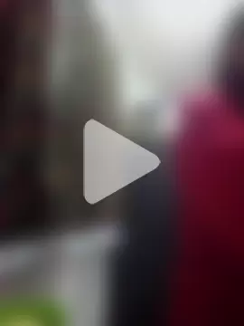 Cameron_puppy photo 14