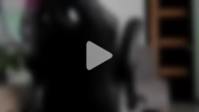 Camilohotxx_ photo 13