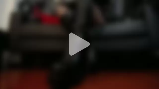 Carla_Phoenix photo 24