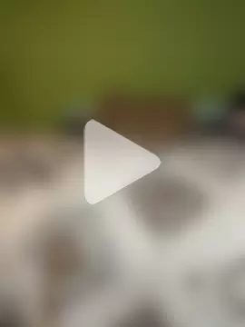 Carolinayoungin photo 8