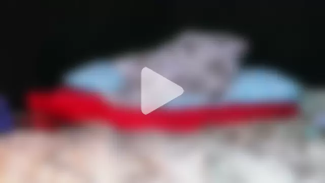 Carolinayoungin photo 17