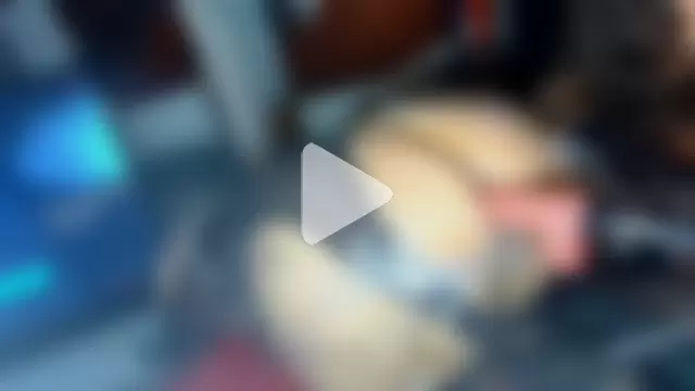 Cassia_Stars photo 2