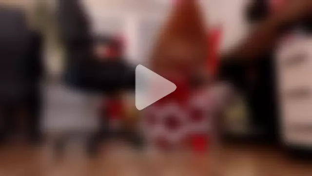 CassieDonald photo 14