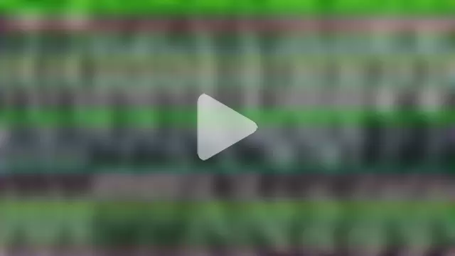 CassieXMarga photo 13