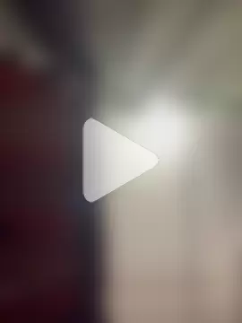 Cataleya2026 photo 3