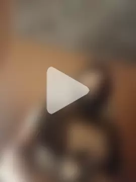 CeoblackLd69 photo 12