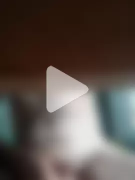 Chackal_brsp photo 22