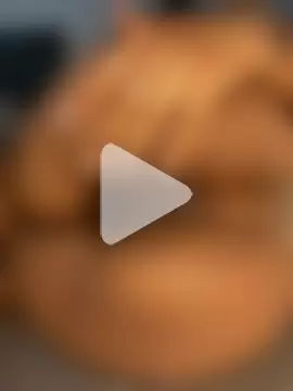 Charlotte_bronxxx photo 4