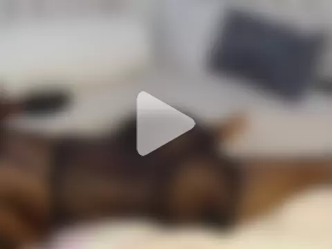 CherryColla photo 26