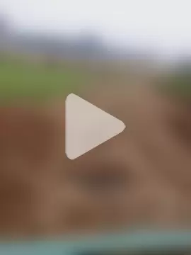 Chinki_pande photo 19