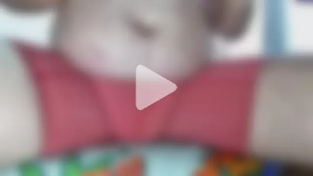 ChubbyLatin_ photo 11