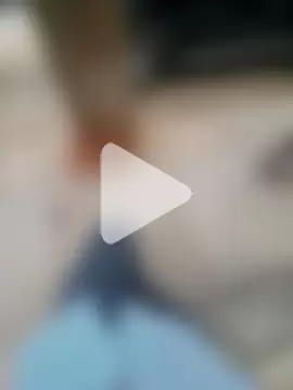 CockForPussy1508 photo 15