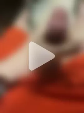 CockyBigBonaaaa photo 1