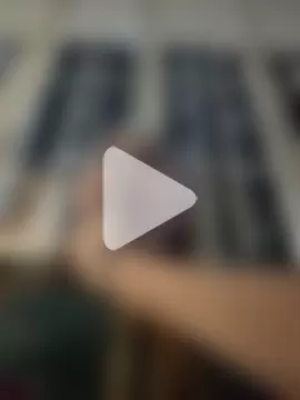 Colibri_Centaura photo 26