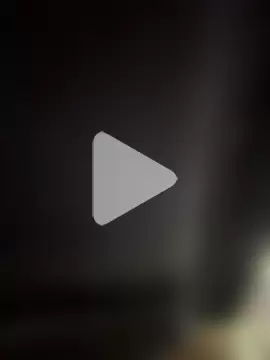 Colibri_Centaura photo 18