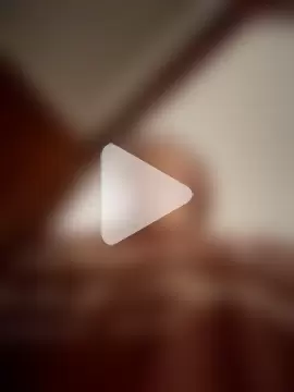 Colibri_Centaura photo 6