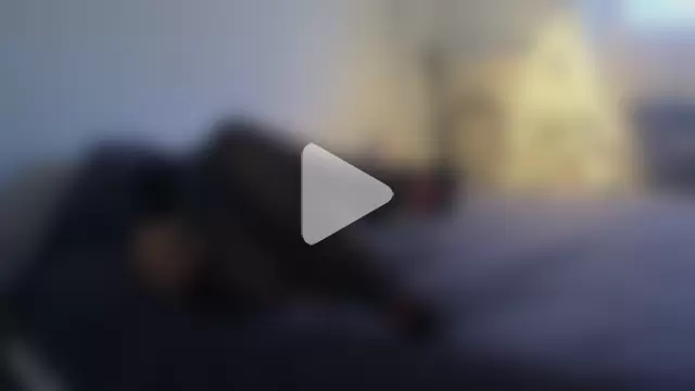 CollantShow photo 17