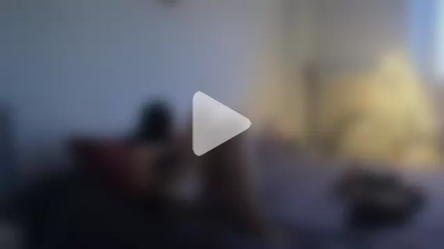 CollantShow photo 10