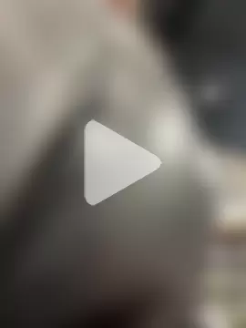 CrazzyChicks photo 4