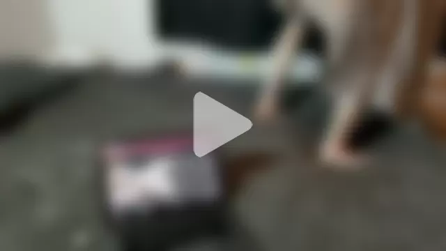 CreamyAustin photo 1