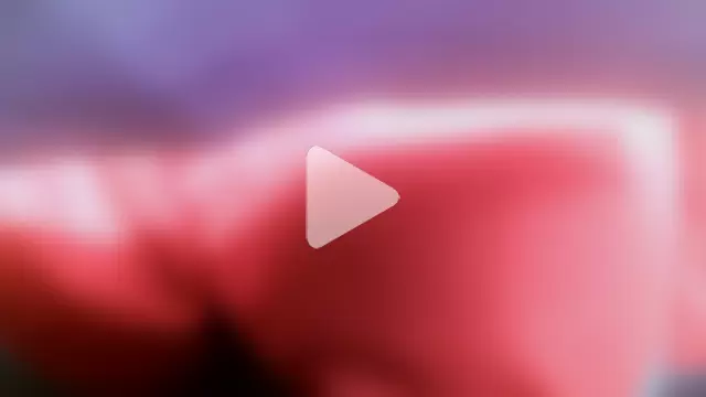 Cygnus58topchef photo 16